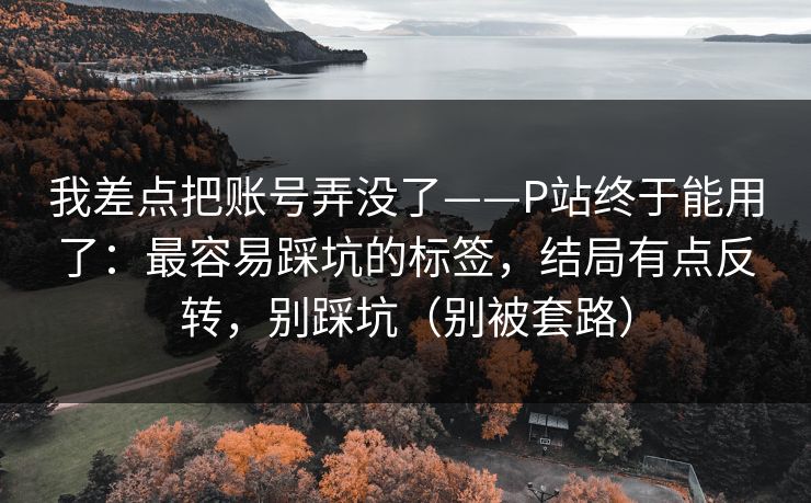 我差点把账号弄没了——P站终于能用了:最容易踩坑的标签,结局有点反转,别踩坑(别被套路) 我差点把账号弄没了——P站终于能用了:最容易踩坑的标签,结局有点反转,别踩坑(别被套路)