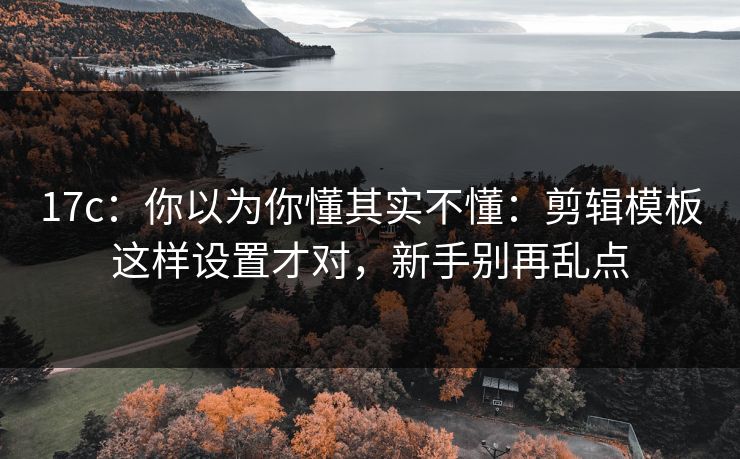 17c：你以为你懂其实不懂：剪辑模板这样设置才对，新手别再乱点